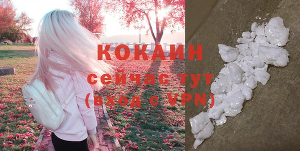 шишки Володарск
