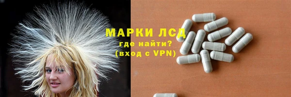 шишки Володарск