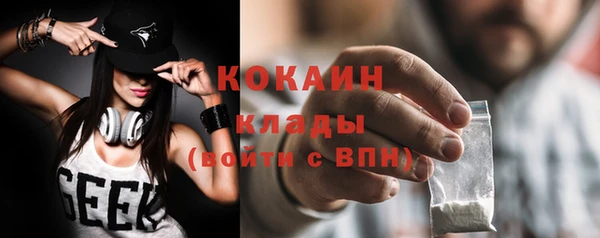 шишки Володарск