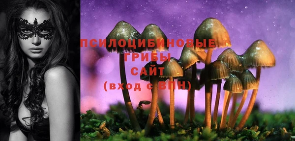 гашик Бутурлиновка