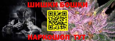 стафф Будённовск