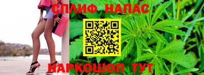 стафф Будённовск