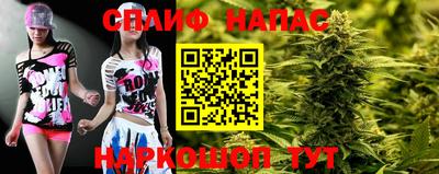 стафф Будённовск