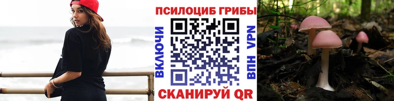 ОМГ ОМГ маркетплейс  Гагарин  Галлюциногенные грибы Psilocybine cubensis 