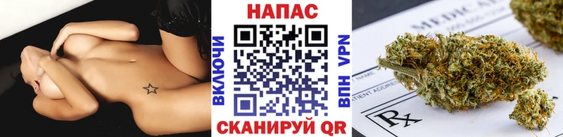 дарнет шоп  Гагарин  Шишки марихуана конопля 